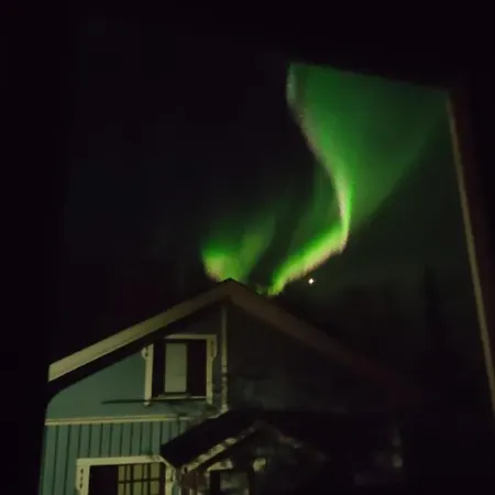 Gold Digger's Timber *