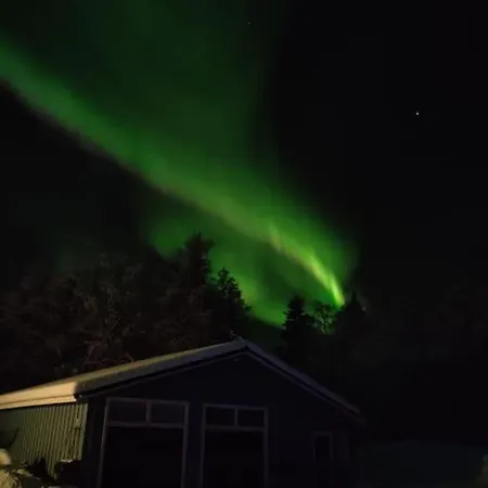 Gold Digger's Timber