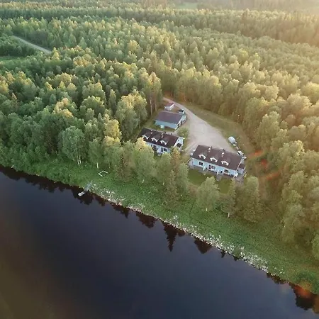 Gold Digger's Timber