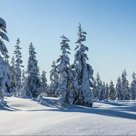 Gold Digger's Timber Apartamento Inari