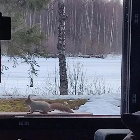 Gold Digger's Timber Inari