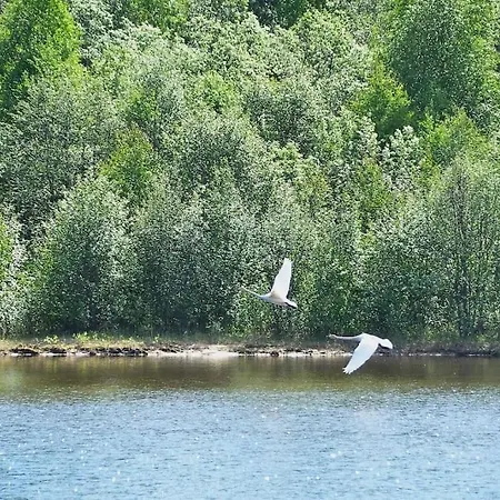 Gold Digger's Timber Apartment *