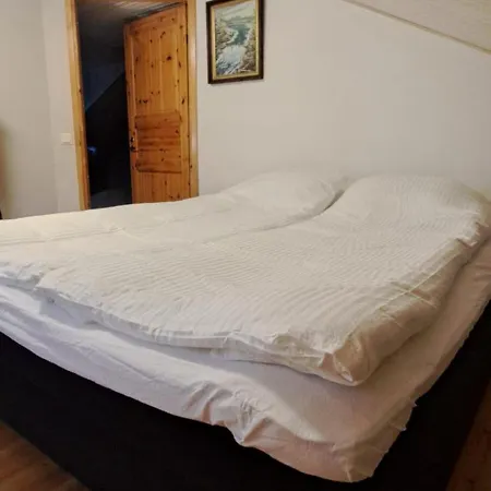 Gold Digger's Timber