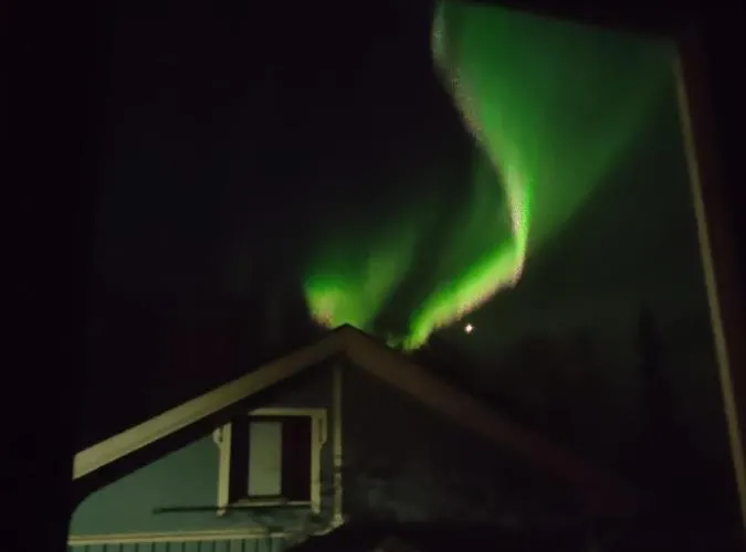 Gold Digger's Timber *