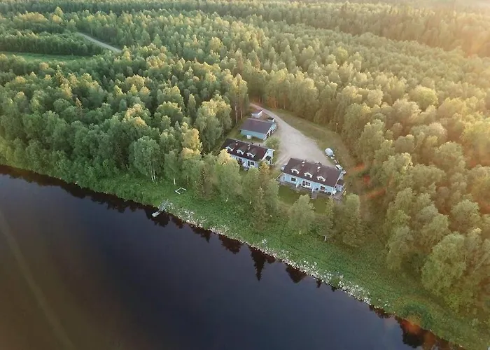 Gold Digger's Timber