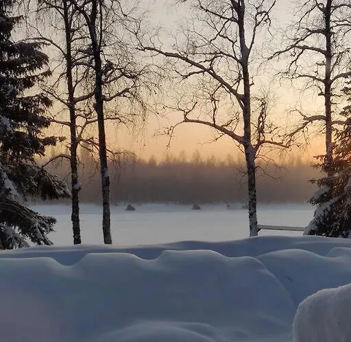 Gold Digger's Timber Apartamento *