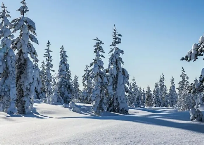 Gold Digger's Timber Apartamento Inari