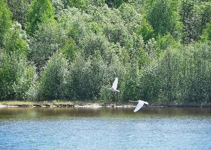 Gold Digger's Timber Апартаменты *