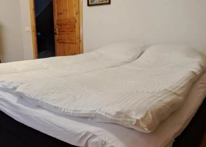 Gold Digger's Timber